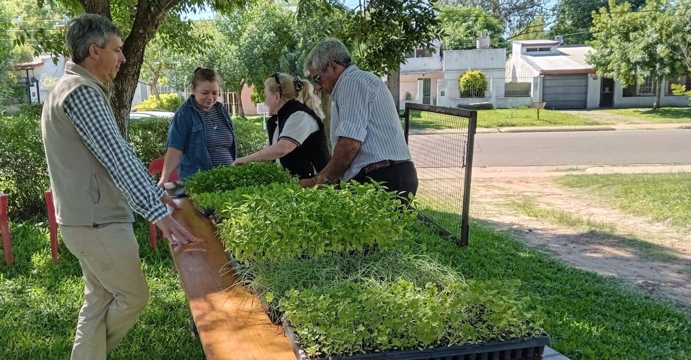 EL PROGRAMA MUNICIPAL DE HUERTAS AGROECOLÓGICAS YA ALCANZA A 2.000 FAMILIAS