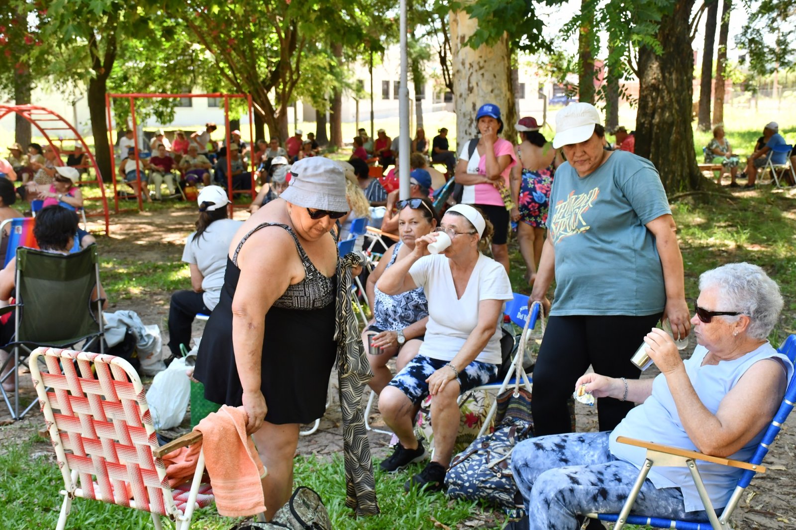 ADULTOS MAYORES DISFRUTAN DE LAS ACTIVIDADES DE LOS RECREATIVOS DE VERANO