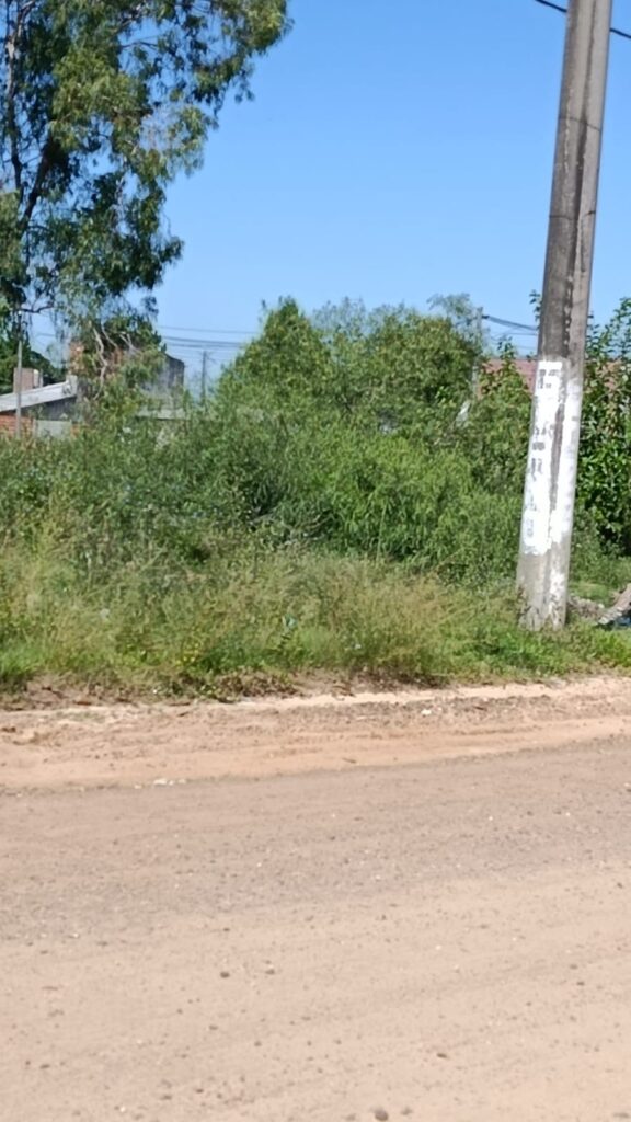 Vecinos, autoconvocados del barrio Sarmiento, presentarán Reclamos por abandono en la municipalidad de Concordia “Estado Ausente” sic