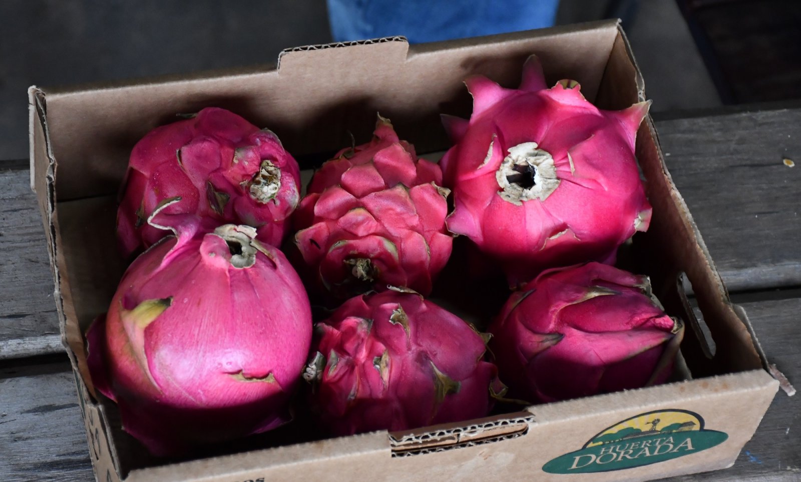 DESDE CONCORDIA SE IMPULSA LA CREACIÓN DE UNA MESA MULTISECTORIAL PARA FORTALECER LA PRODUCCIÓN FRUTIHORT ÍCOLA