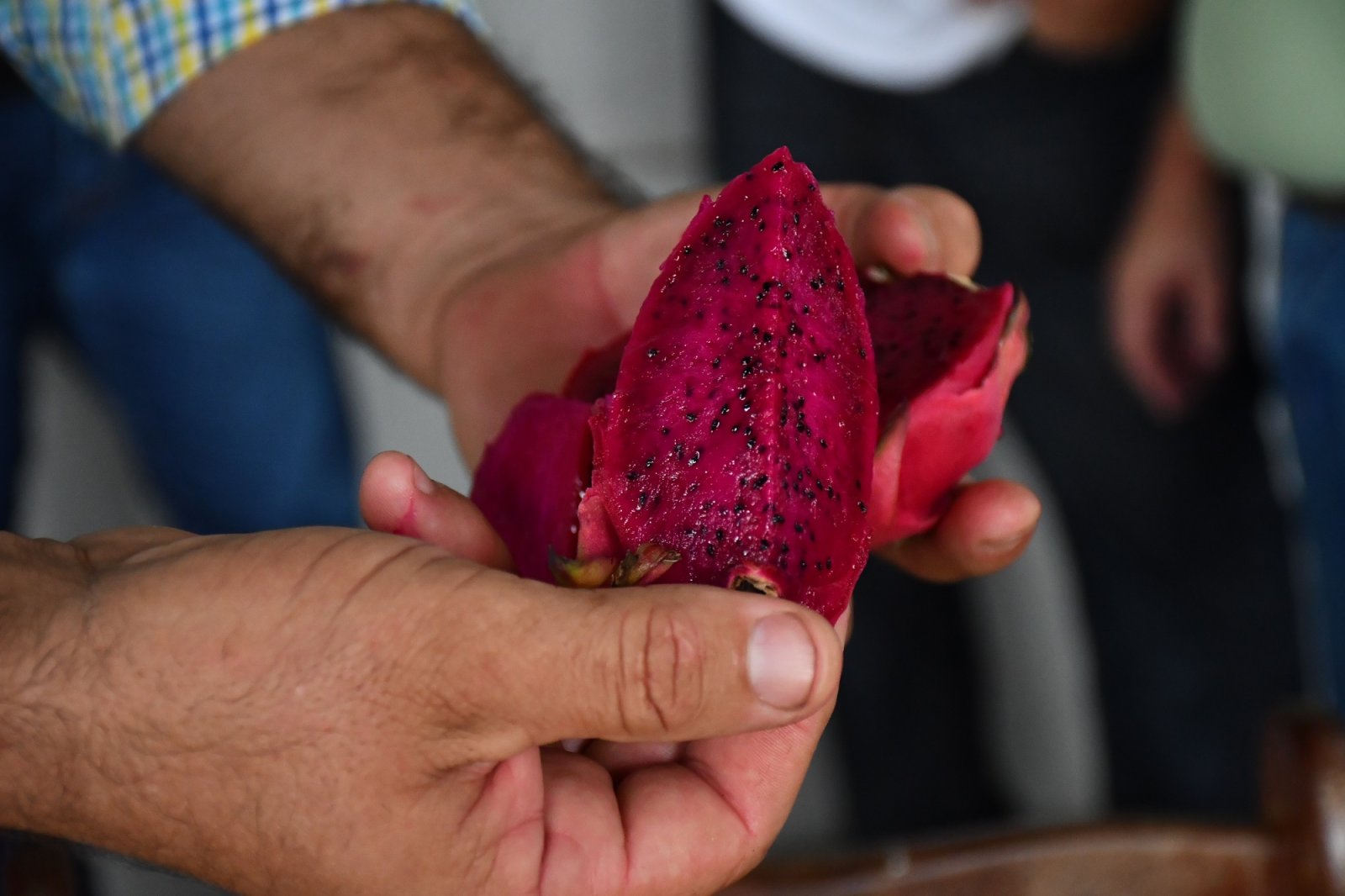 DESDE CONCORDIA SE IMPULSA LA CREACIÓN DE UNA MESA MULTISECTORIAL PARA FORTALECER LA PRODUCCIÓN FRUTIHORT ÍCOLA
