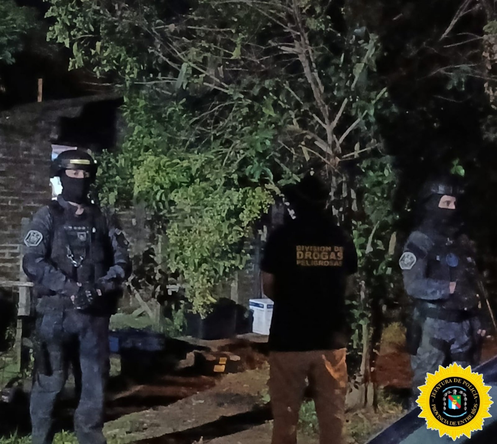 FEDERAL. DOS ALLANAMIENTOS CON SECUESTRO DE ESTUPEFACIENTES Y UNA MUJER DETENIDA*