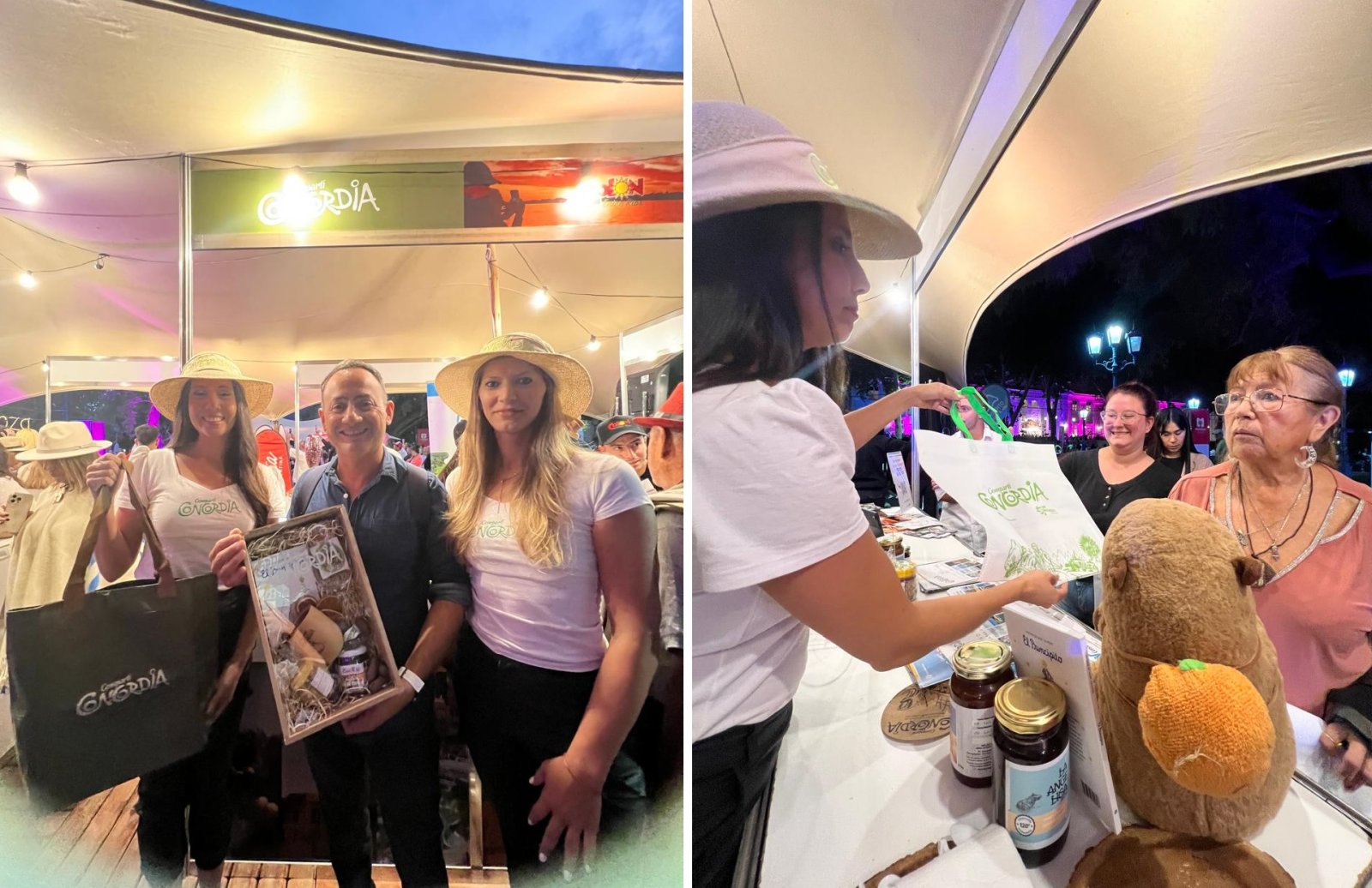 CONCORDIA PARTICIPÓ DE LOS 90 AÑOS DE LA FIESTA NACIONAL DE LA VENDIMIA