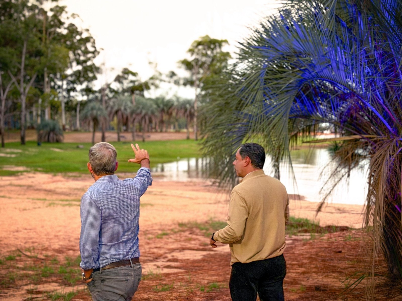Avanza la puesta en valor del Complejo Camping Las Palmeras con la inauguración de su nueva iluminación