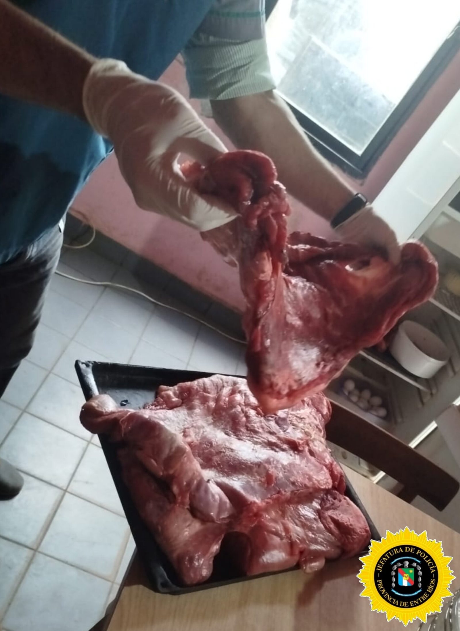 OPERATIVO CONTRA LA CAZA FURTIVA EN FEDERAL: DOS ALLANAMIENTOS CON SECUESTRO DE ARMAS Y CARNE