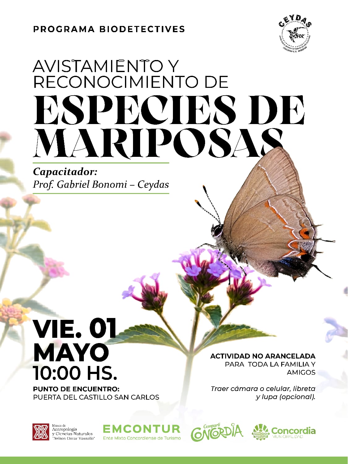 JORNADA DE AVISTAMIENTO Y RECONOCIMIENTO DE ESPECIES DE MARIPOSAS
