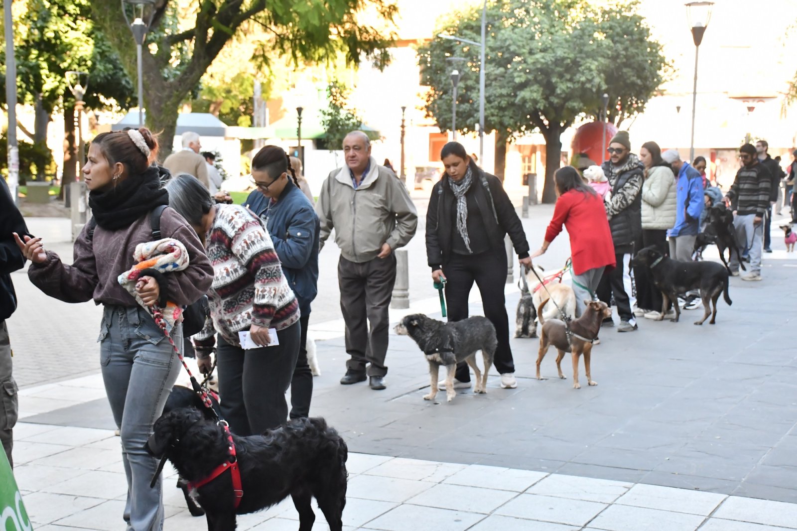 POR EL DÍA DEL ANIMAL SE LLEVÓ A CABO UNA JORNADA GRATUITA DE VACUNACIÓN ANTIRRÁBICA