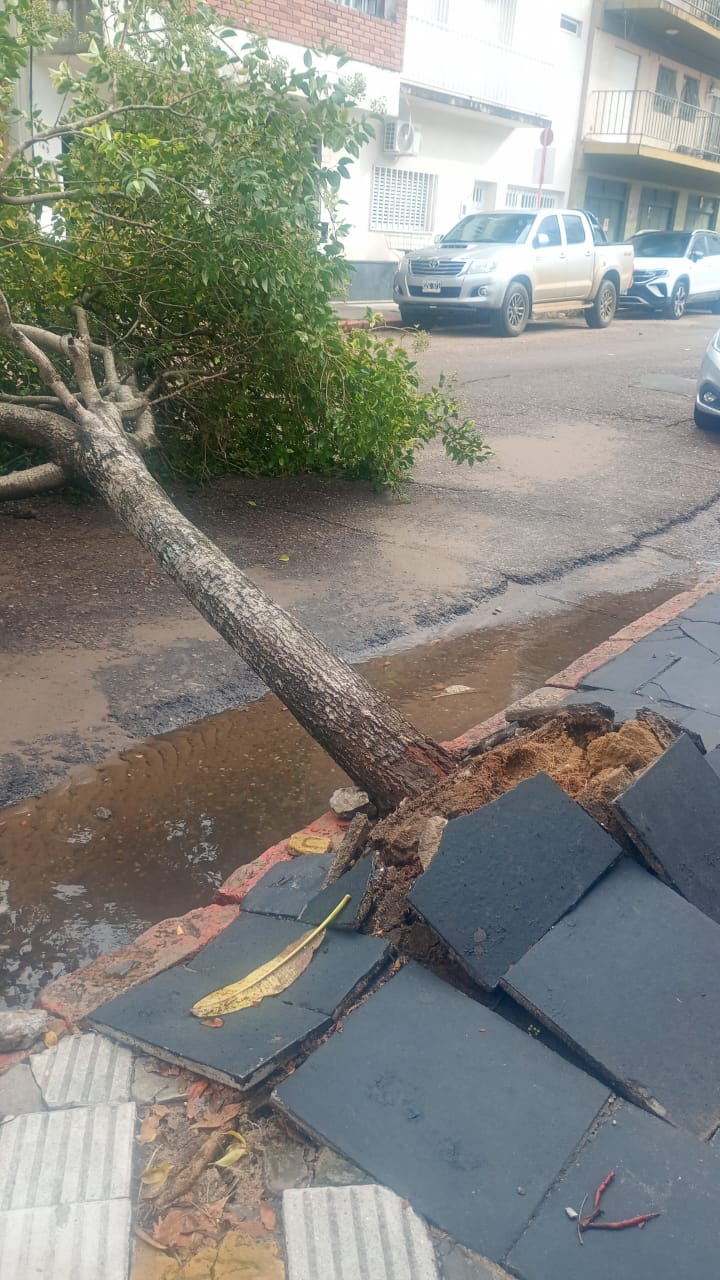 LA MUNICIPALIDAD ASISTE A FAMILIAS AFECTADAS POR EL TEMPORAL