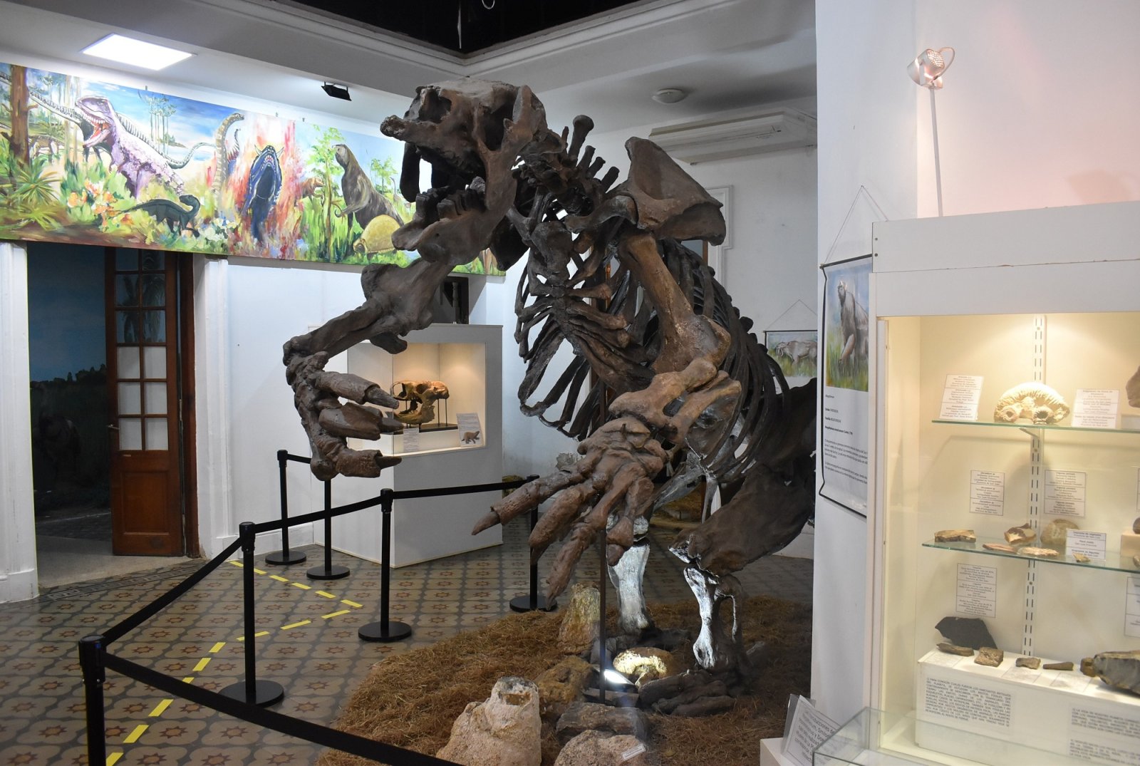 EL MUSEO DE CIENCIAS NATURALES CUMPLE 30 AÑOS CUSTODIANDO NUESTRA HISTORIA