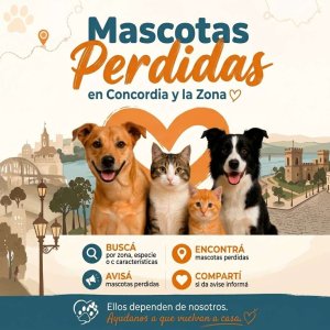 Mascotas Perdidas Concordia