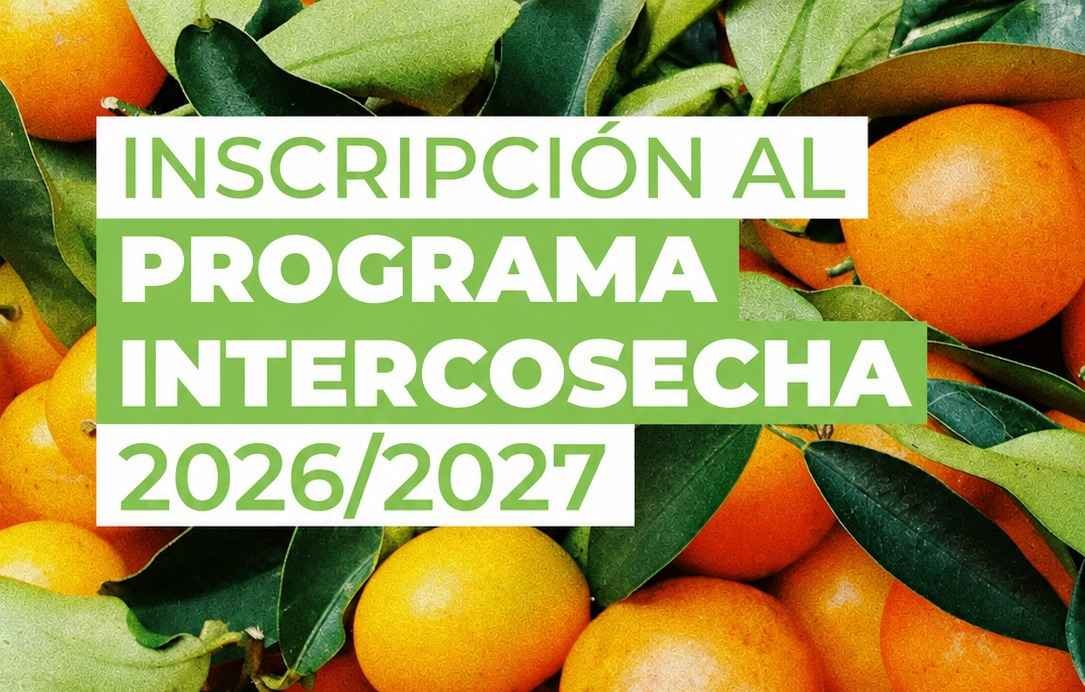 SE ABRE LA INSCRIPCIÓN AL PROGRAMA NACIONAL INTERCOSECHA 2026/2027