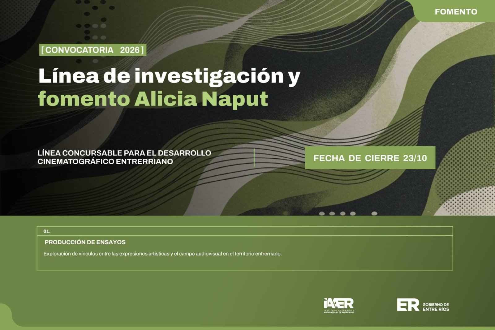 Convocatoria 2026 para la línea de investigación y fomento Alicia Naput del IAAER