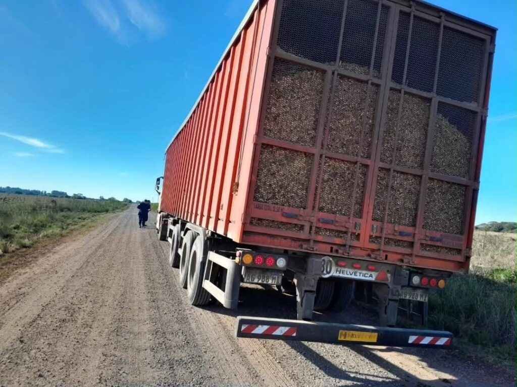 El gobierno provincial reglamentó la ley 10.975 - Conectados Concordia
