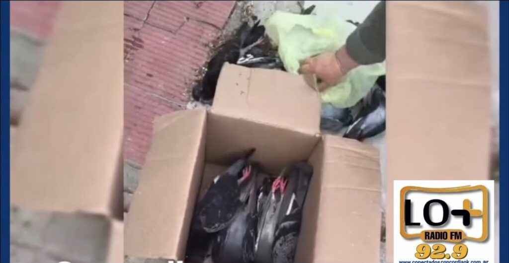 CASI 100 AVES MUERTAS EN CONCORDIA: DENUNCIAN UNA POSIBLE INTOXICACIÓN Y TEMEN POR MASCOTAS Y PERSONAS